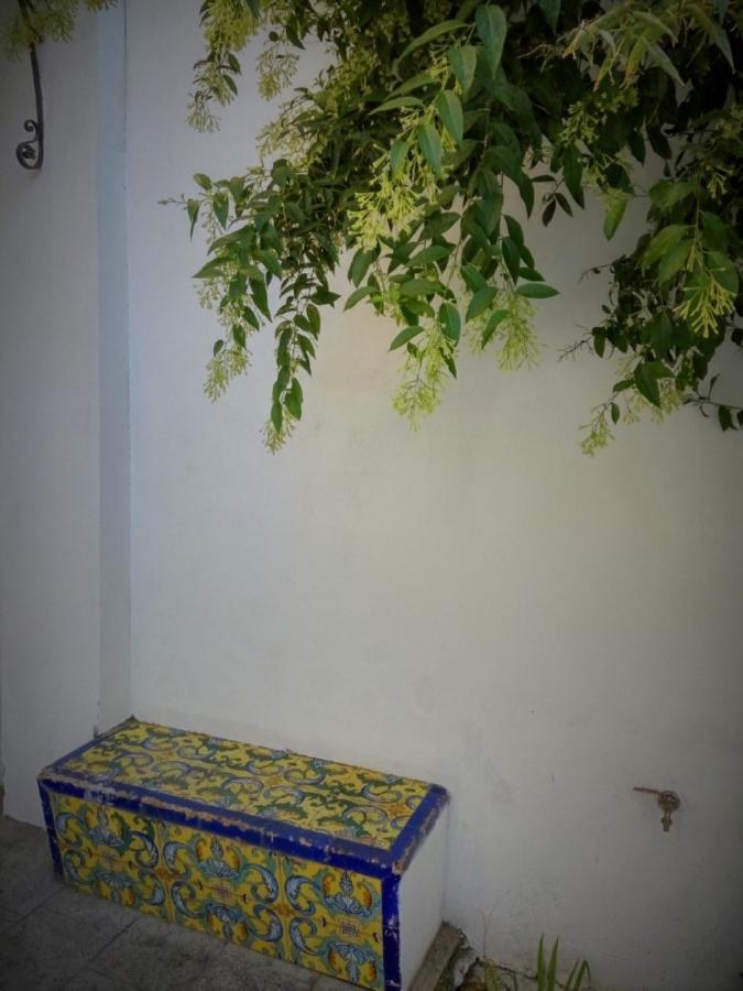 Apartment Alacas Sevilla Екстериор снимка