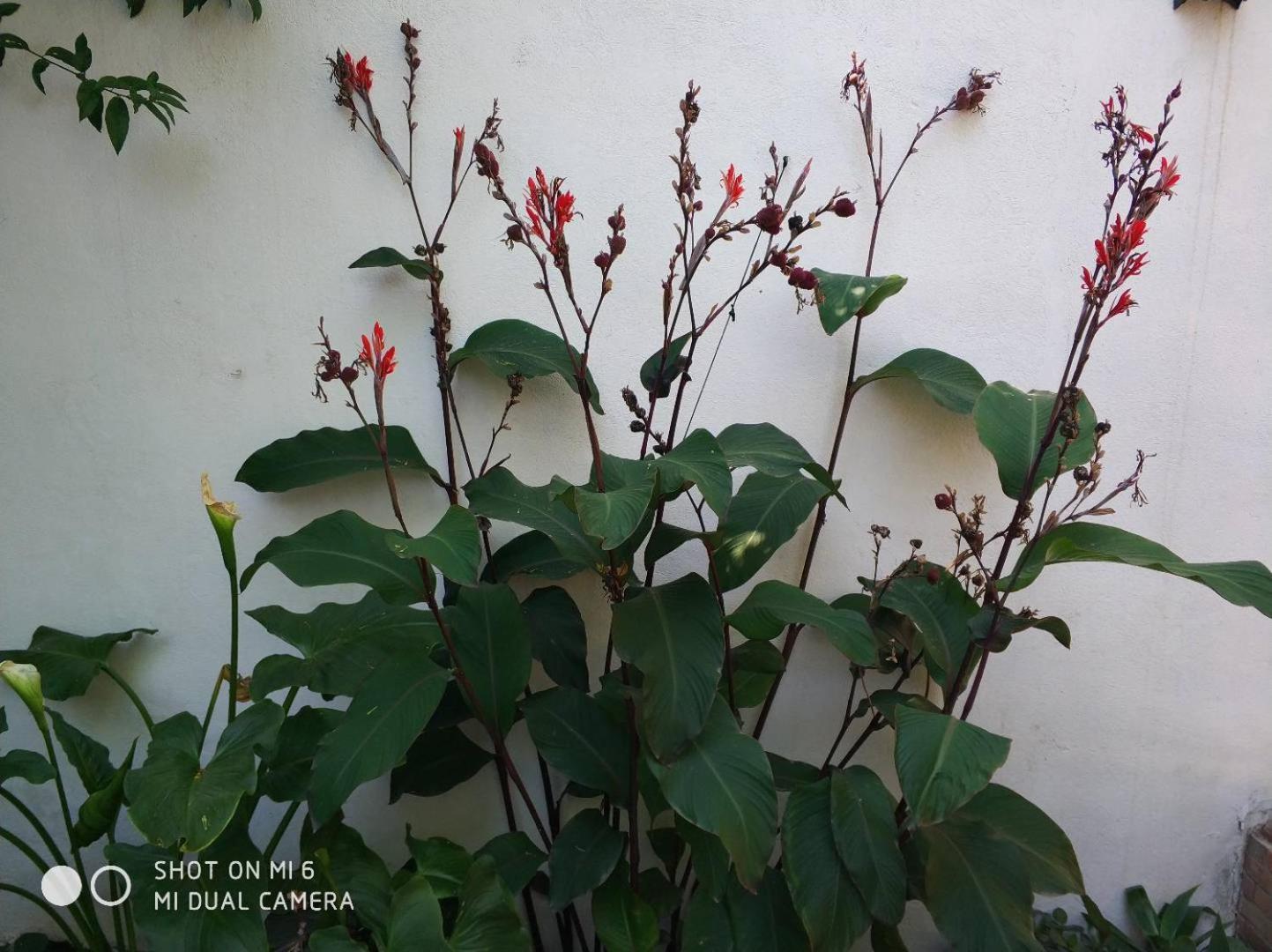 Apartment Alacas Sevilla Екстериор снимка