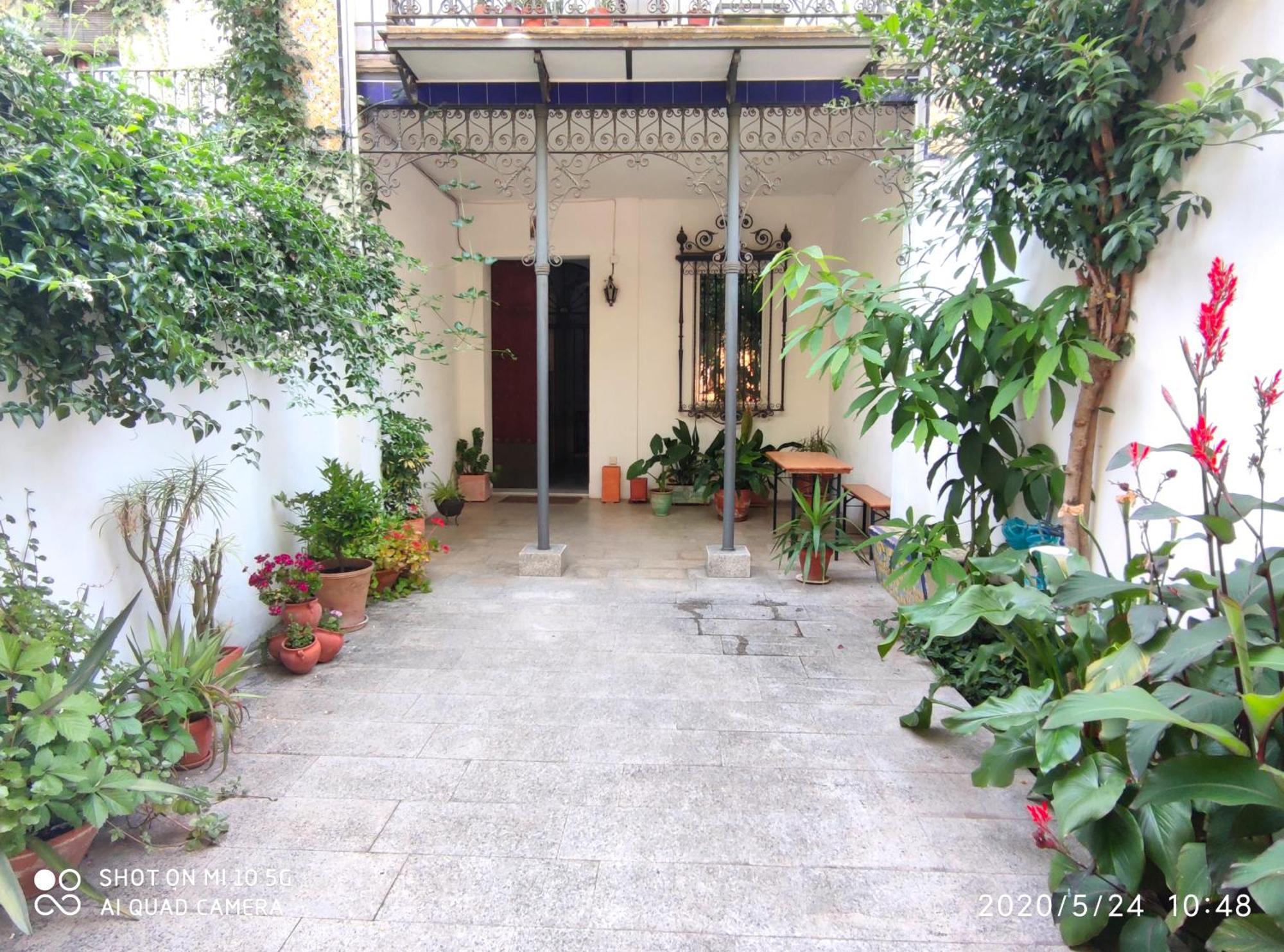 Apartment Alacas Sevilla Екстериор снимка